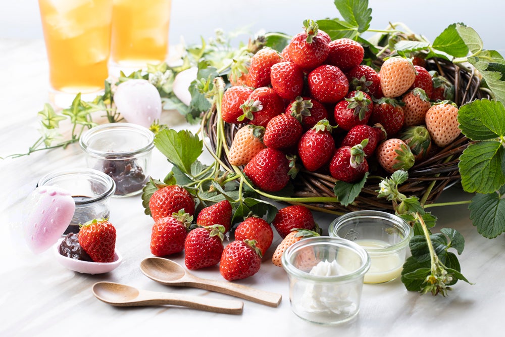 「ほっともっと」“ニッポンのお弁当を、愉しく。”をテーマに、商品も店舗も新しくなった、新デザイン店舗の熊本県1号店！『ほっともっと 熊本空港バイパス店』