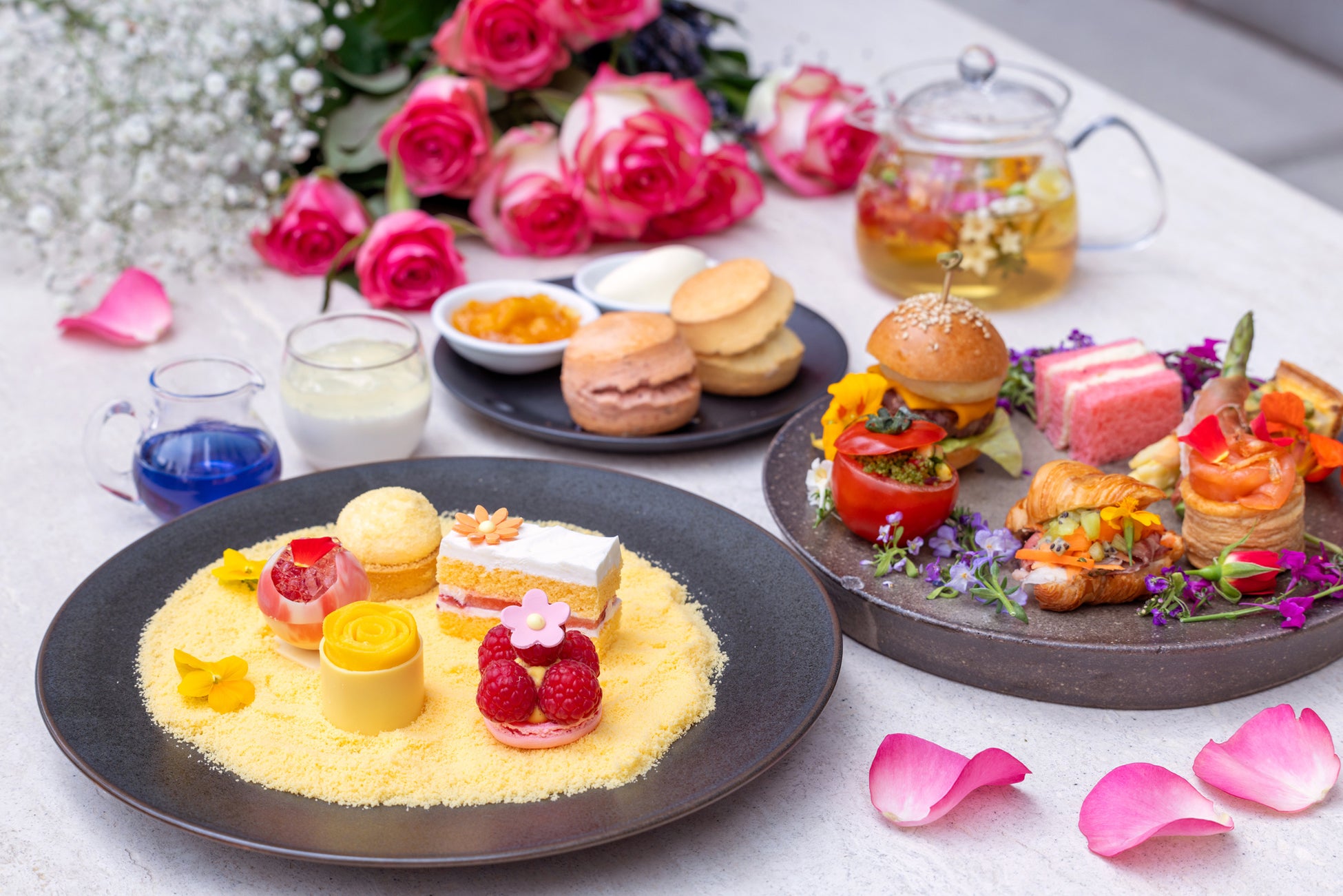 合同企画「あたらしい心地いいに会いにいく。」が始まります。