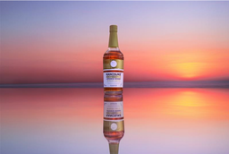 三条飲食店組合カレーラーメン部会とセブン‐イレブンが共同開発　三条カレーラーメンが更においしくなり今年も発売