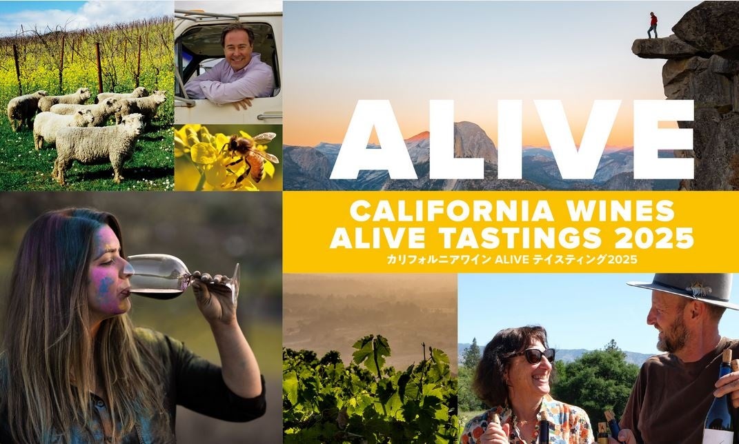 【 苺のたい焼！あまおう × とちおとめ 】新作 クロワッサンたい焼 『いちごカスタード』 2/20（木）より発売決定！