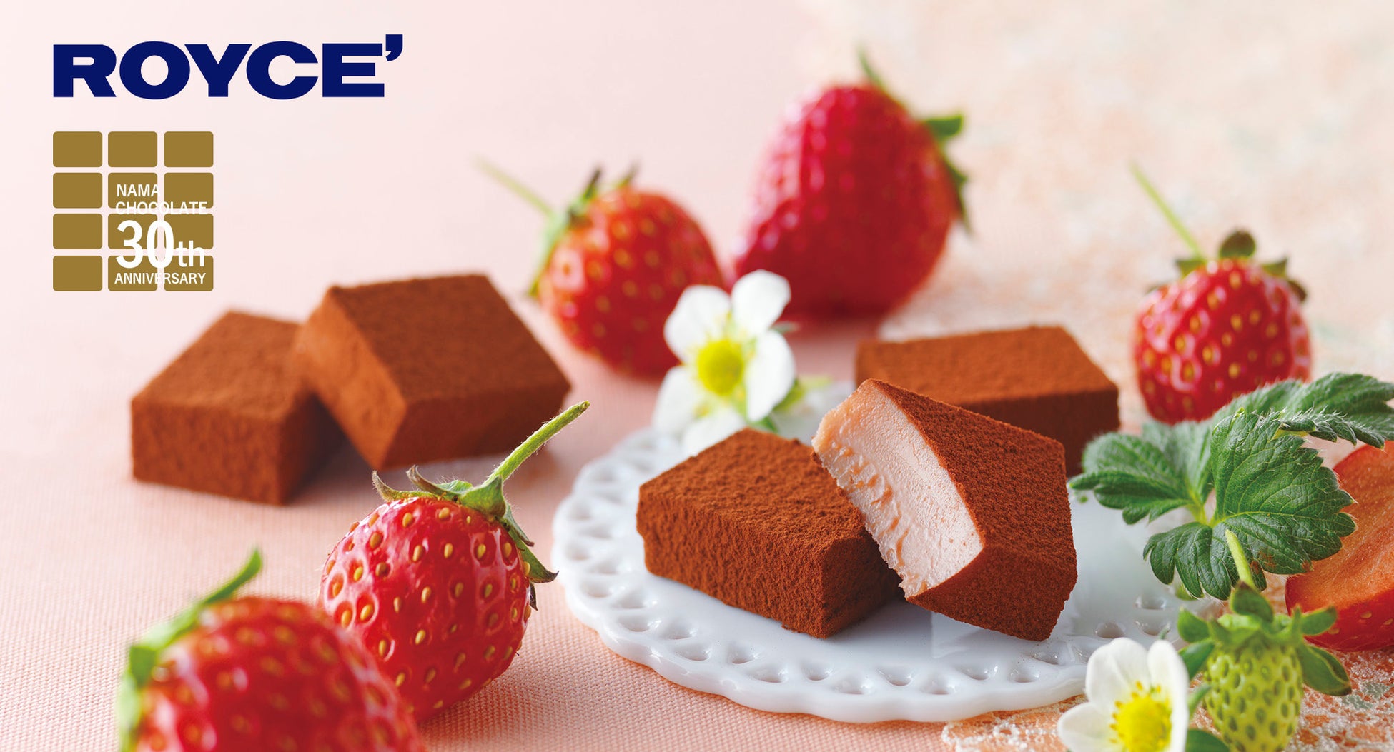 スイートコーンを練り込んだ軽ふわ食感の生地と2種類のチーズ※がより親子で楽しめる『チーズビット 2種のチーズ味』