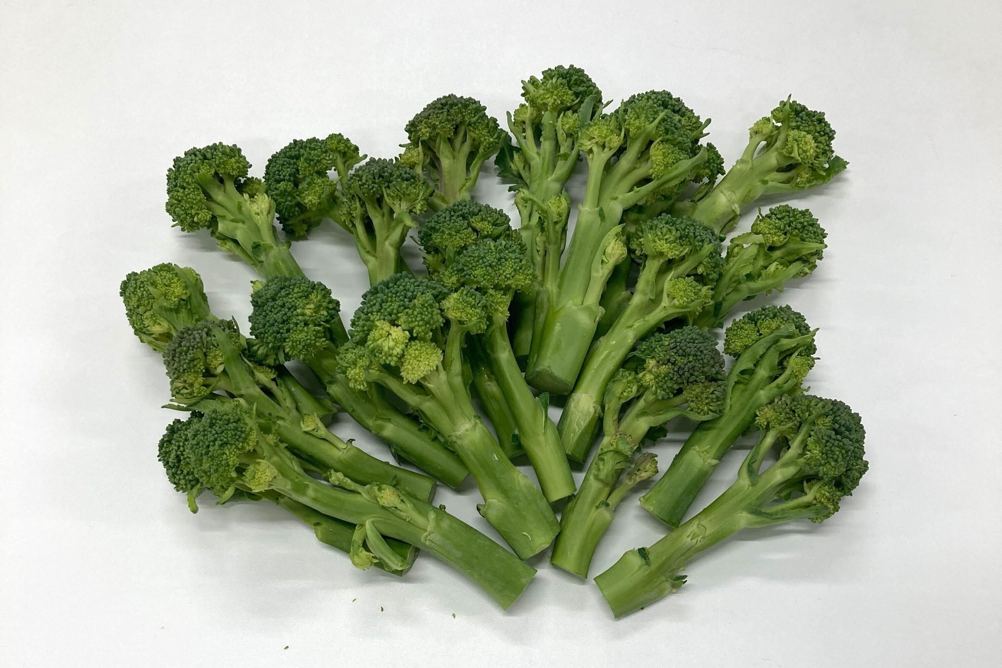 空中レストラン「Dinner in the Sky（ディナーインザスカイ）」が日本上陸！国内サービスをキラナガーデン豊洲にて3月ローンチ、予約受付開始