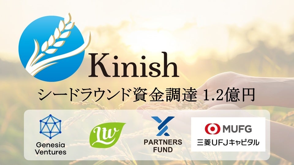 数量限定！カカオの実そっくり？！なチョコレートのパウンドケーキが新登場。