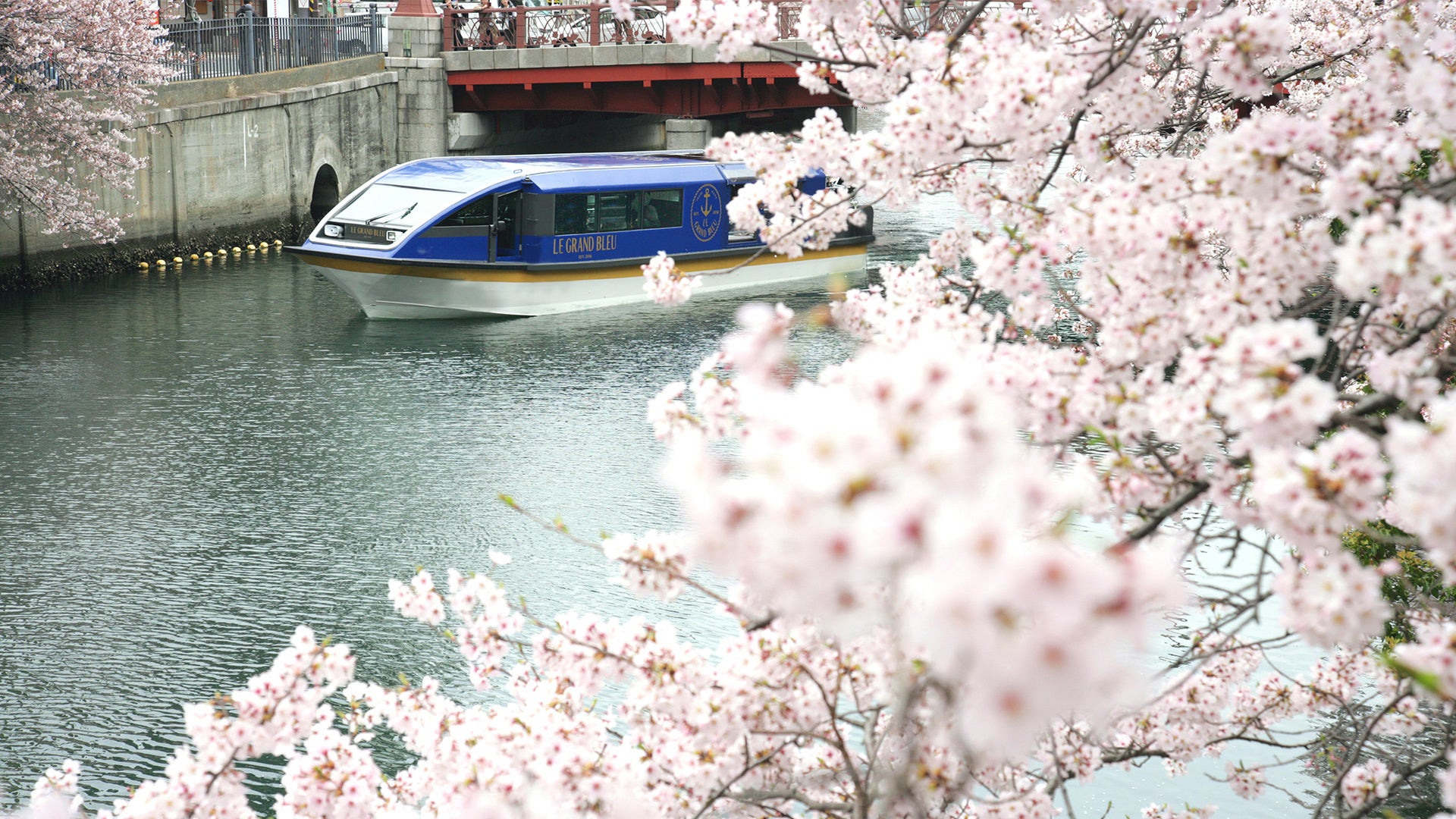 【独自調査】2025年最新：外国人に人気の飲食店ランキング［有楽町 編］1位は「月島もんじゃ たまとや 日比谷」！| インバウンド人気飲食店ランキング　#インバウンド #MEO