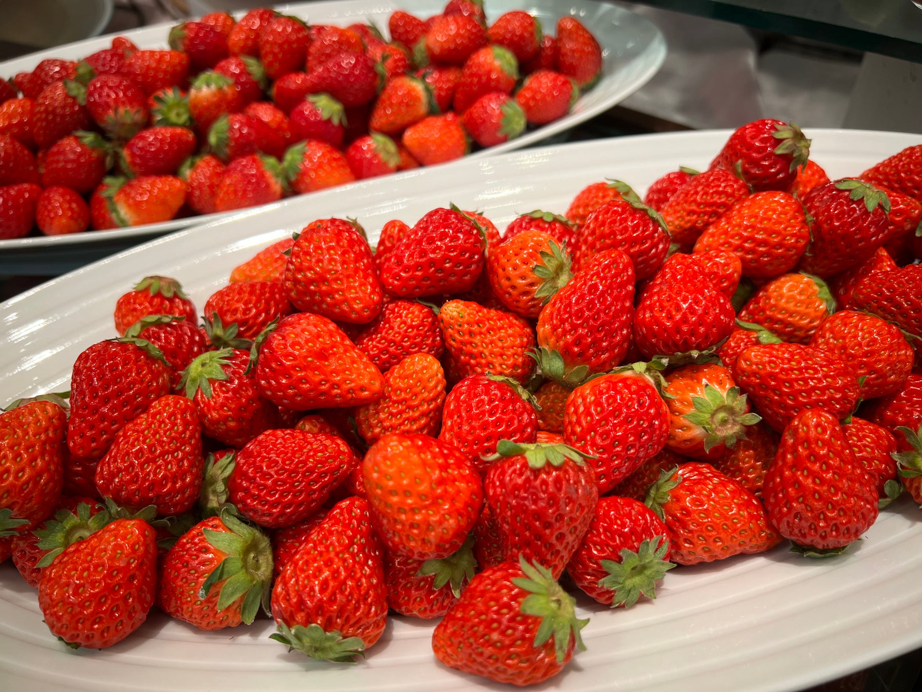 産地直送ズワイガニ・海鮮三昧！春の歓送迎会コースが飲み放題付き6,500円から限定登場！【北海道海鮮 にほんいち 福島店】