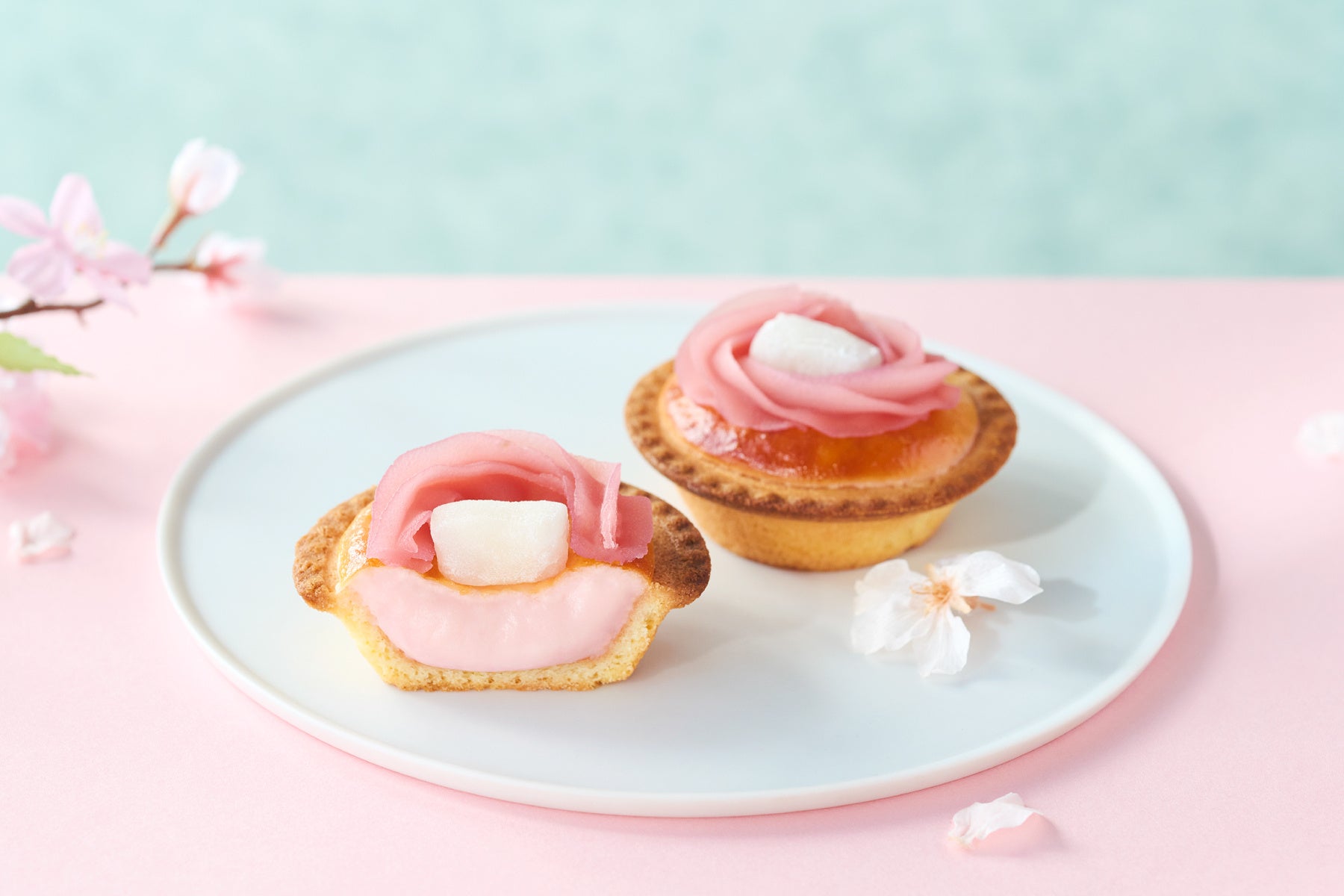 【新発売】 『彩茶 –あやちゃ– ルイボス』 が仲間入り!