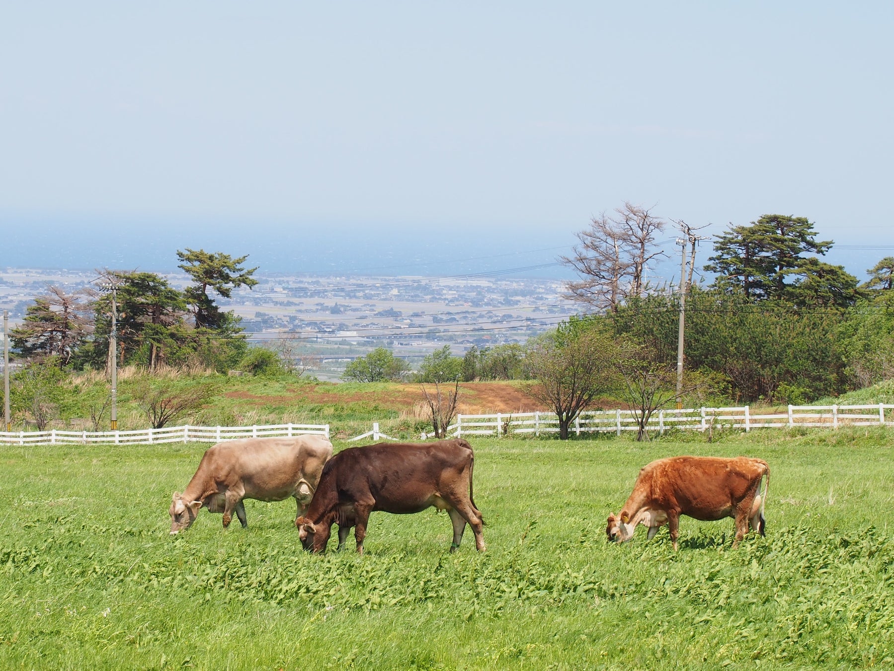テーマは“おいしい世界旅行”。第一弾「春」はイタリアやドイツなど5カ国のお料理を食べ放題でご提供します。