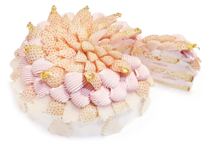 2月22日から新イベント「本まぐろ祭」開演。そして、すし職人のいるすし銚子丸ならではの人気イベント「1本丸っと!本まぐろ解体ショー」を86店舗、毎週土曜日に全店同時開催!