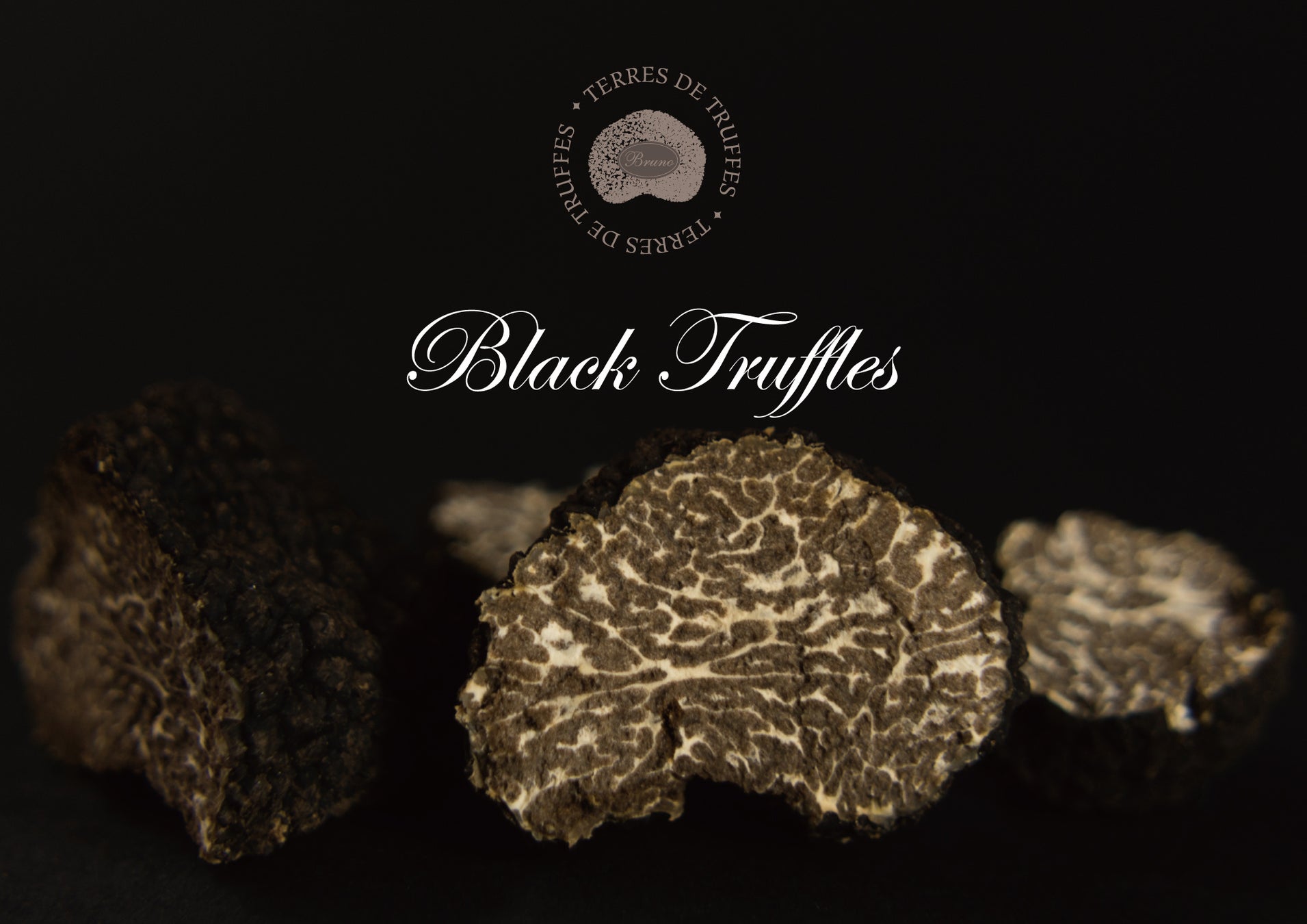 2月26日（水）より日本シュウマイ協会入会を記念してほっかほっか亭 川崎日進町店 限定でシュウマイ弁当発売！