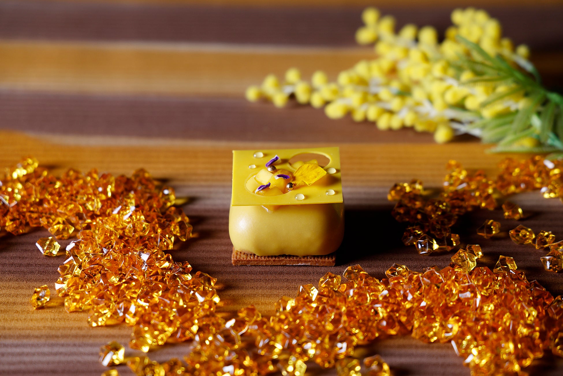 【カツカレーの日(2月22日)】Spice and Vegetable 夢民から、カツカレーの日限定メニュー「ネオ・カツカレー」が登場。