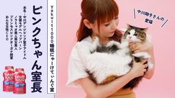 食の新時代を創るネクストミーツ 「植物性の和・中華惣菜」を１０種類に拡充！インバウンド向けに全国のホテル、旅館、レストランに向けて販売を本格展開へ