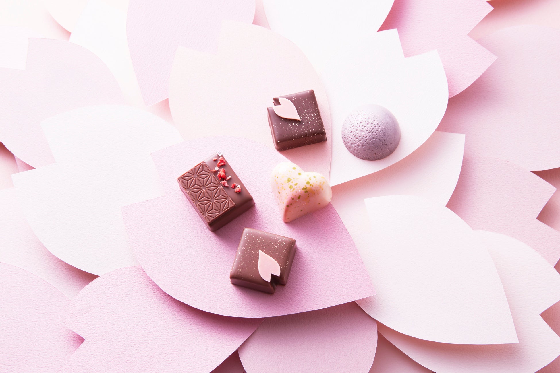 春の贅沢なひと時。VANILLABEANSの生チョコレートサンド、ショーコラ「さくら」「あまおう」スプリングセット2月20日(木)各店舗にて販売開始。