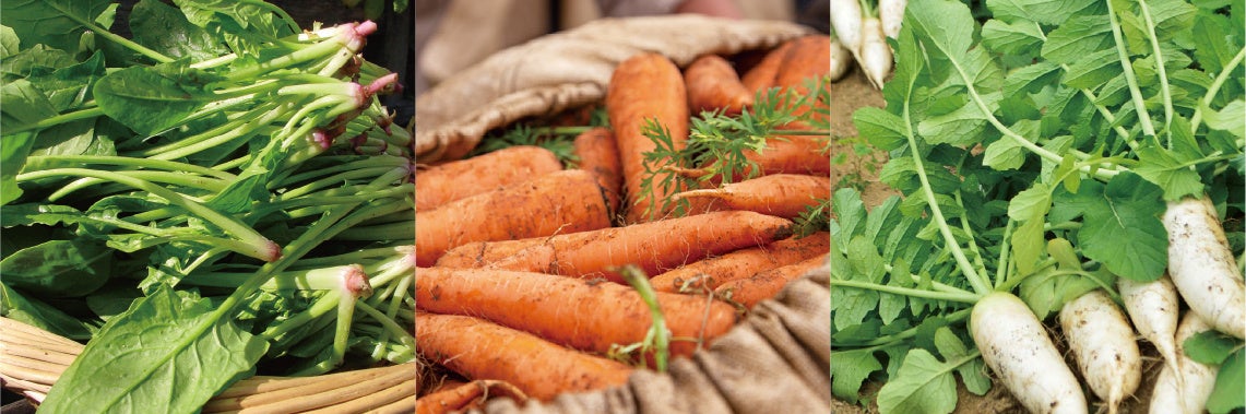 そばに米粉！？職人の新たな挑戦！世界初！二八の二八そば誕生！