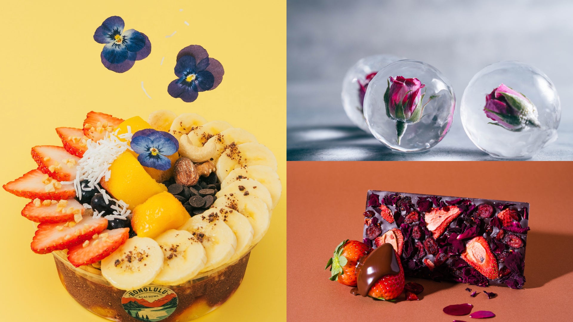 【お花見おにぎり総選挙2025】1位は「たたむだけで断面華やか！折りたたみおにぎり」