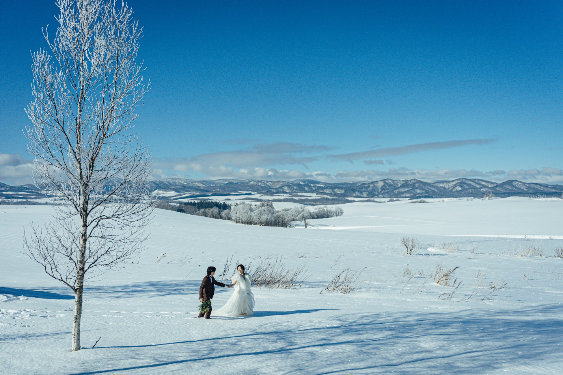 桜アップサイクルプロジェクトから『ホテルを彩った桜で糸を染めた扇子』が誕生