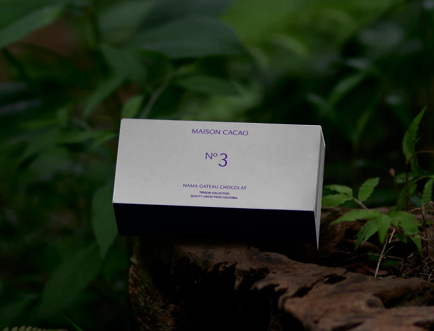 ＜3周年記念＞鎌倉・ensoならではの、発酵食材を使用した『発酵 bistro enso』を開催！イベント限りのビストロ料理を提供｜4日間限定