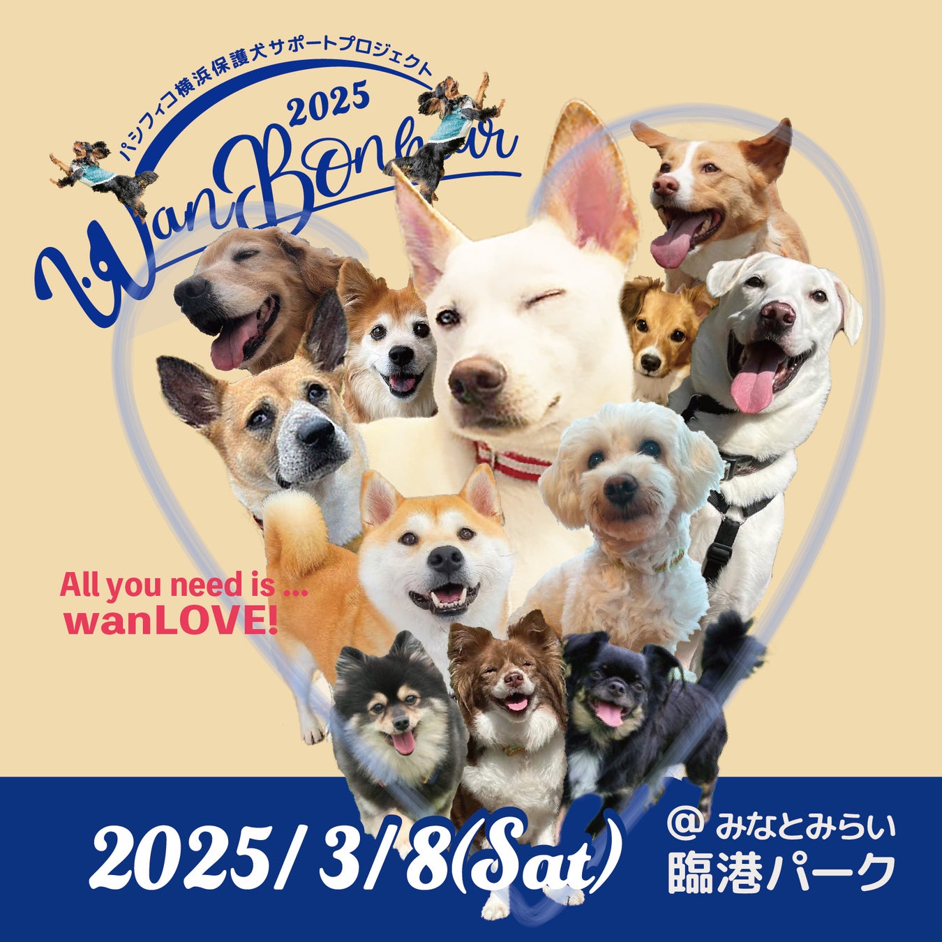 あの『食堂とだか』の名物をご家庭で。予約2年待ちのお店の味わい「食堂とだか 甘納豆チーズ」を3月2日（日）に成城石井だけで新発売！