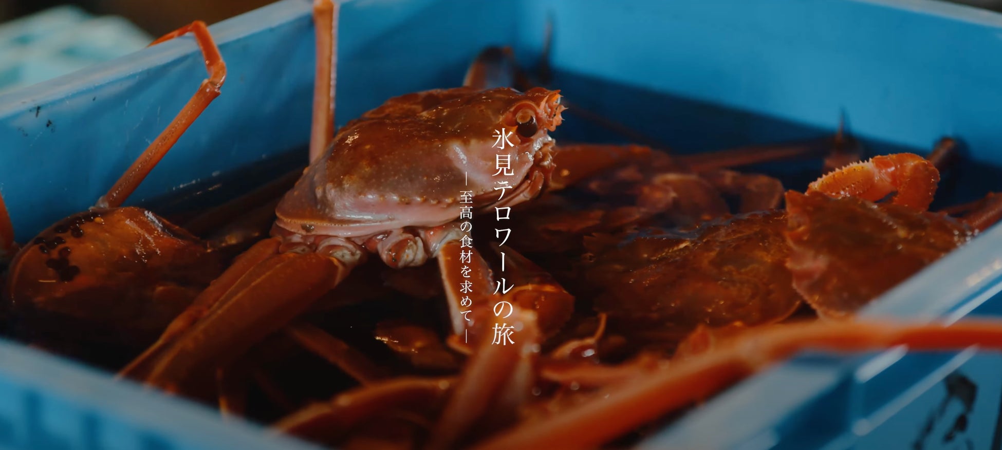 【ANAクラウンプラザホテル成田】ANA国際便ビジネスクラスの人気商品「ANAオリジナルビーフハンバーグステーキ」がアラカルトとルームサービスにて販売決定!