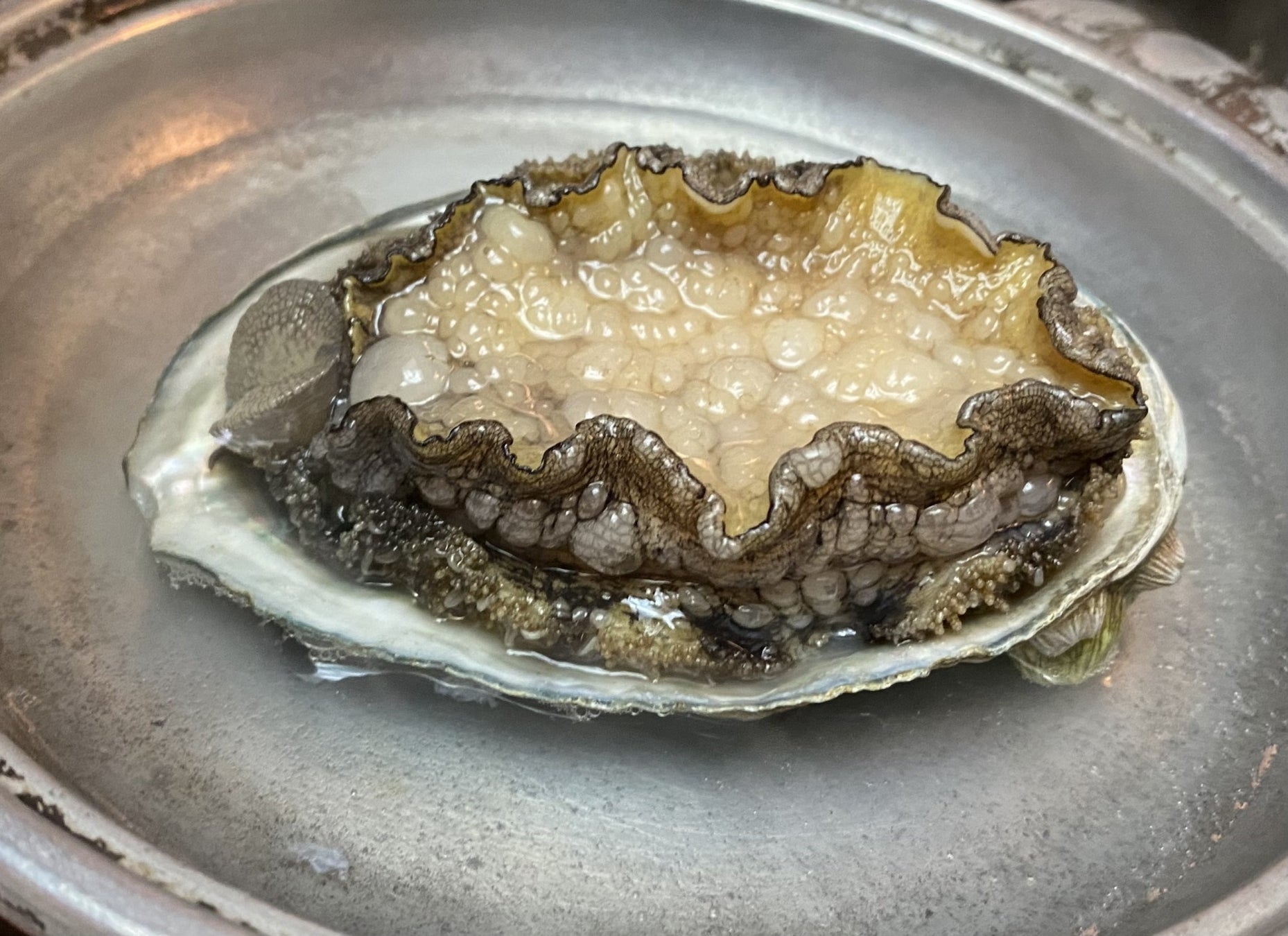 「レジスタンス」居酒屋イベント第5弾『レジの都5〜シブヤセカンドインパクト〜』大盛況！