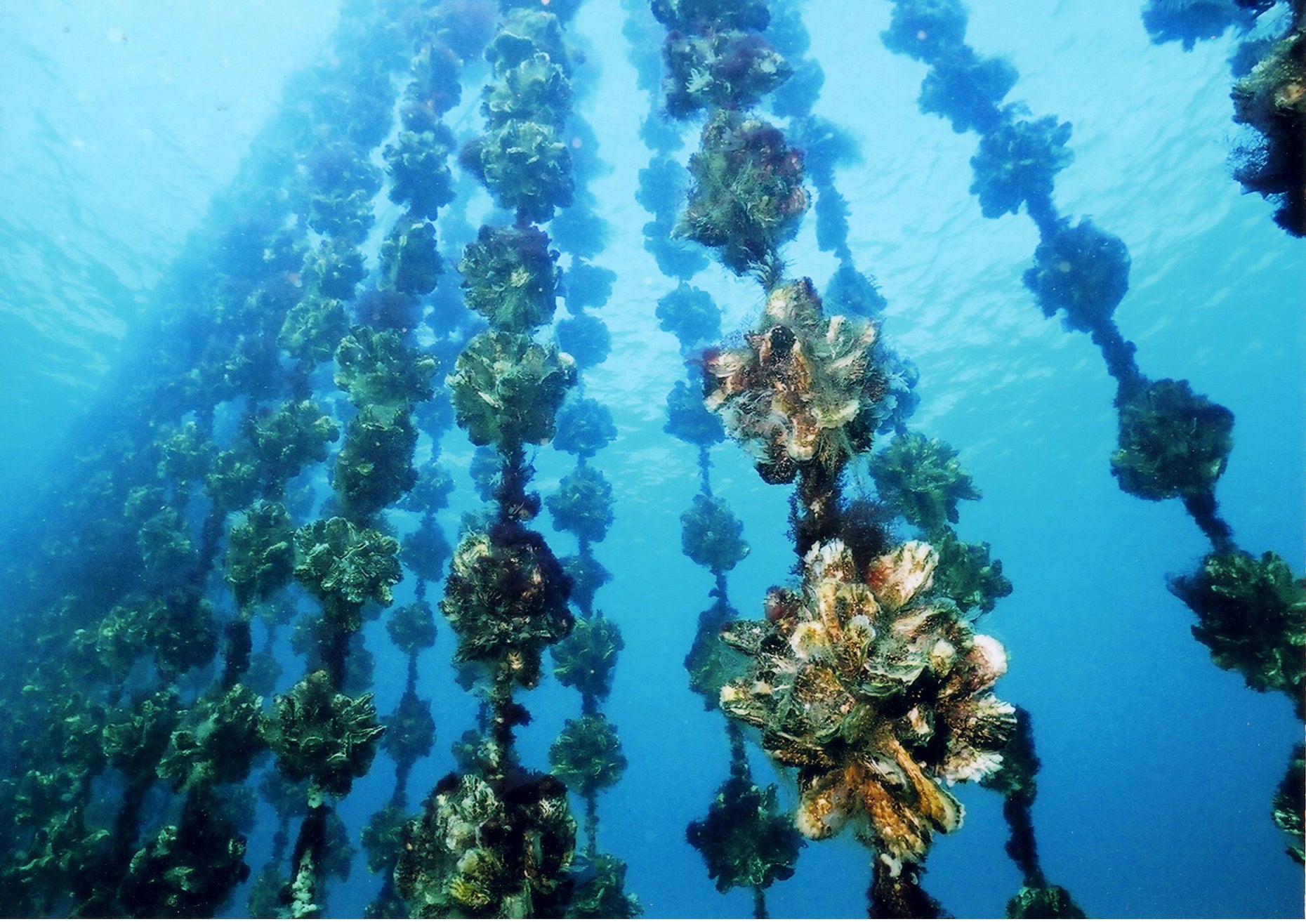 【和歌山県みなべ町】地方移住への第一歩を、株式会社紀州ほそ川がサポート。田舎暮らしの魅力を体験しながら、移住の夢を叶えませんか？