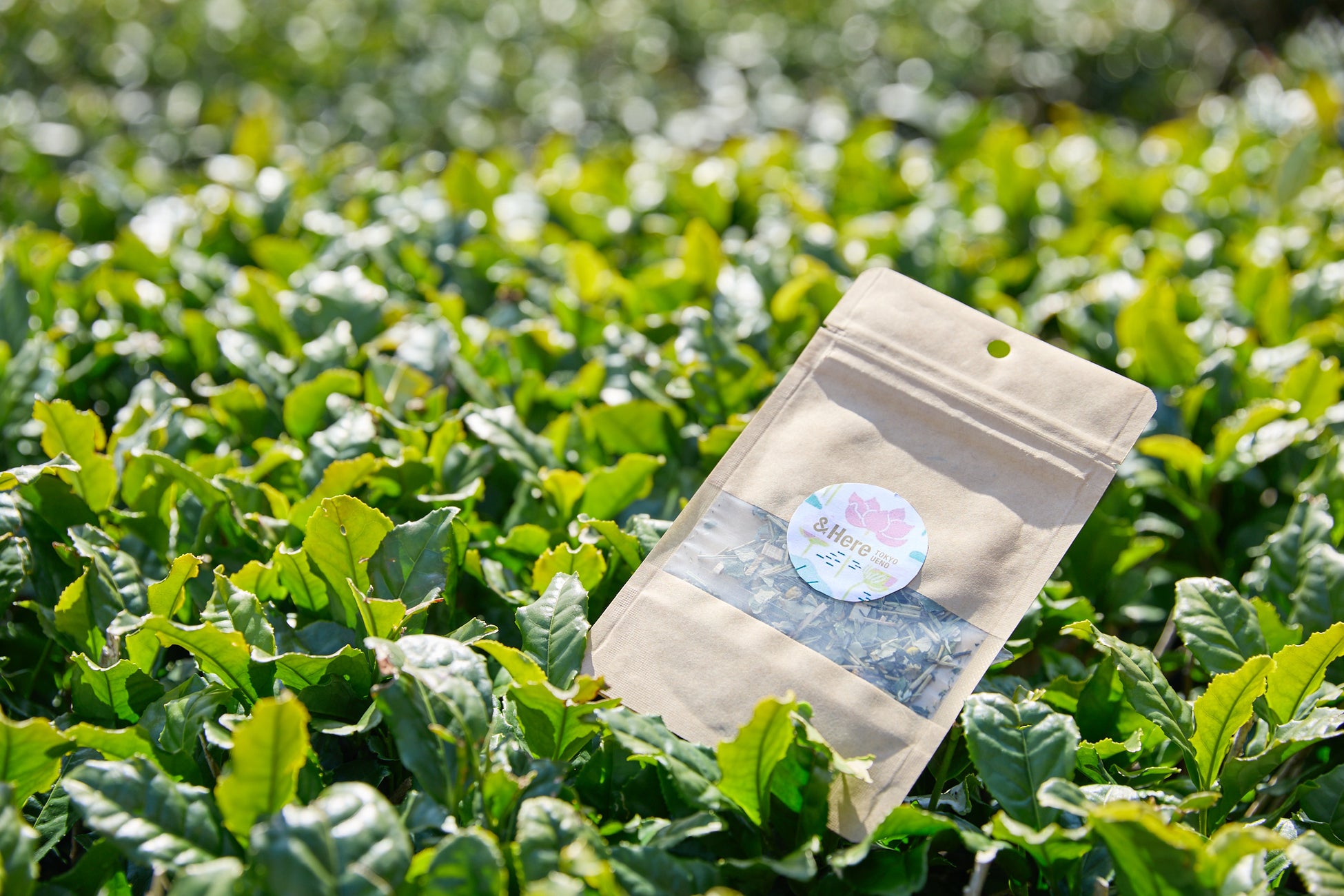 ㈱ヤマイチ水産がすり身の新冷凍工場を竣工