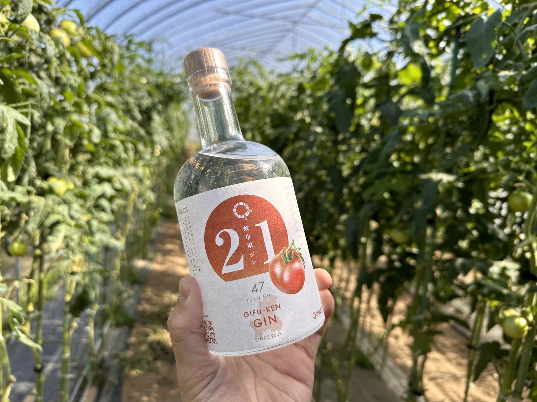 しぼりたての日本酒やオリジナルカクテル、お笑いステージやアイドルFesも!梅乃宿ワクワクほろよいFes2025 開催