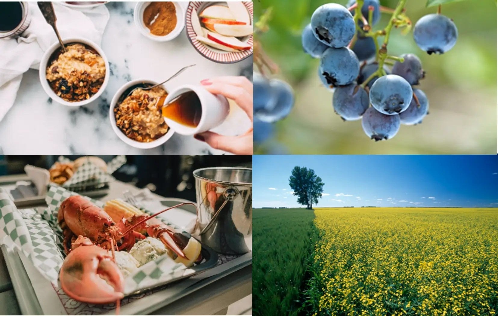 【神戸ポートピアホテル】 『開業44周年謝恩 春のグルメフェア』特別な味わいに感謝をこめて　館内8つのレストランにて開催　4/30（水）まで