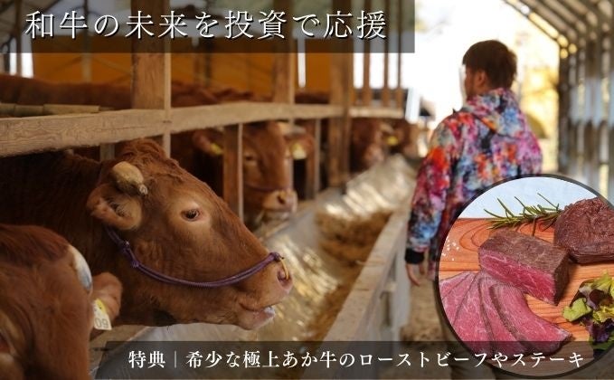 県アンテナショップの人気ランキング（最新版）。北海道、沖縄に次いで３位は意外な結果に・・・【第8回アンテナショップ利用実態調査2025】