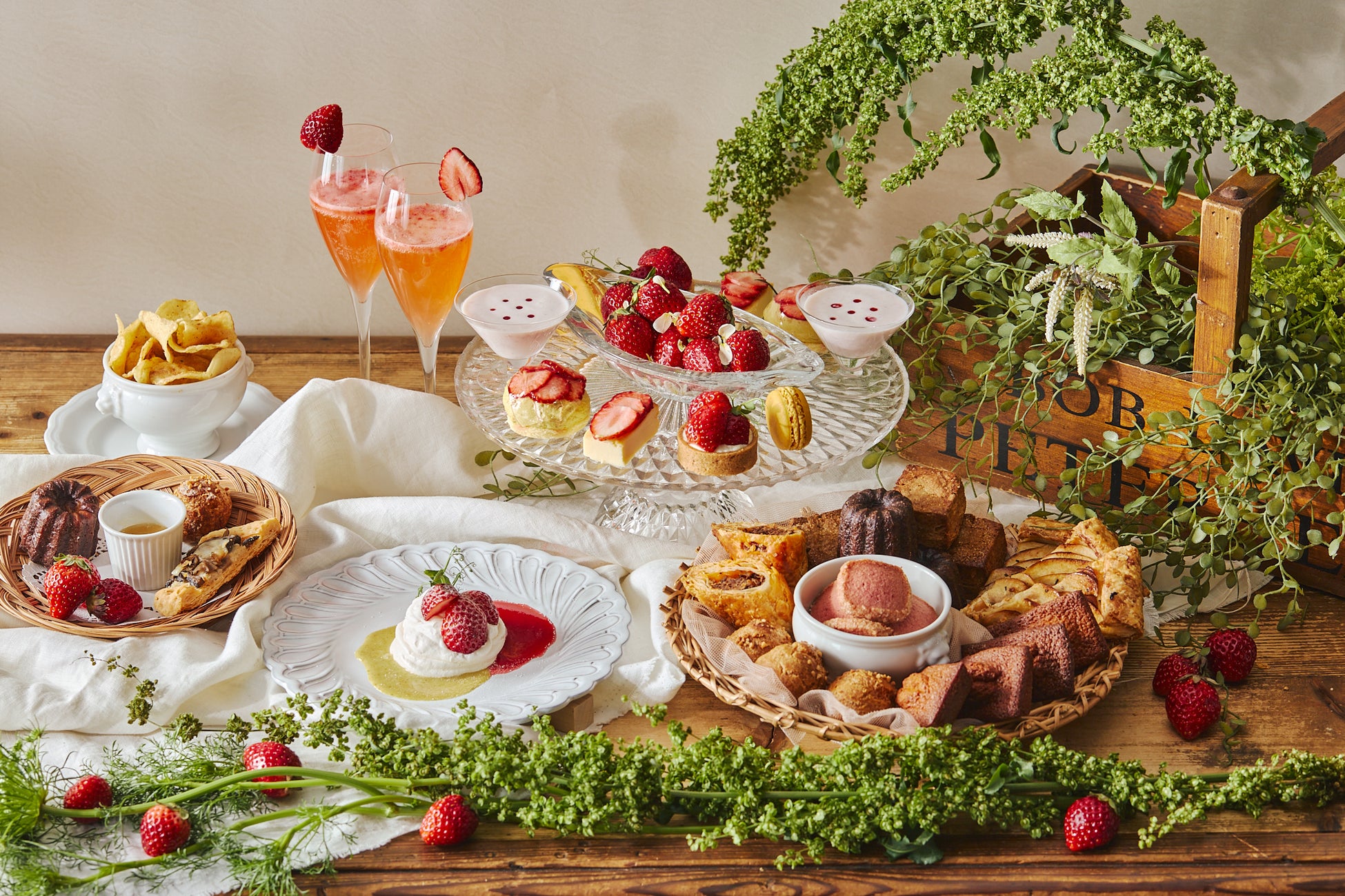 大規模ブランド刷新した新生「SPRING VALLEY BREWERY」／2025年注目俳優、坂東龍汰さん初出演！新TV-CM「しあわせ湧きあがる」篇 3月4日（火）より順次放映開始