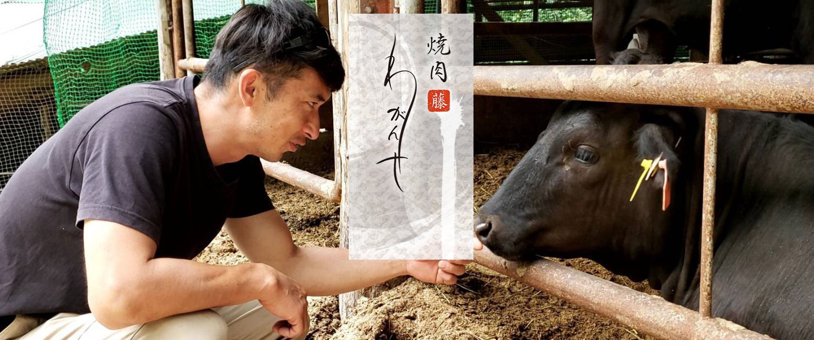 【飲食店様限定】九州まーめんを無料でご提供！ 低糖質・高たんぱくで話題の「大豆麺」を試してみませんか？