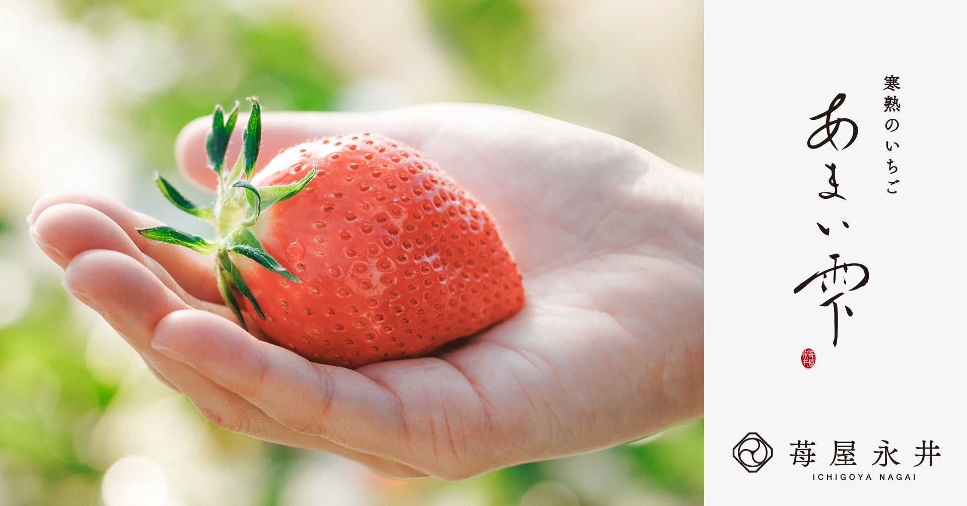 プチプチとしたチョコ種の食感も再現！スイカバー、メロンバーがガムになっちゃった！パッケージデザインをリニューアルして、今年も登場！「スイカバーガム」「メロンバーガム」2025年3月11日（火）新発売