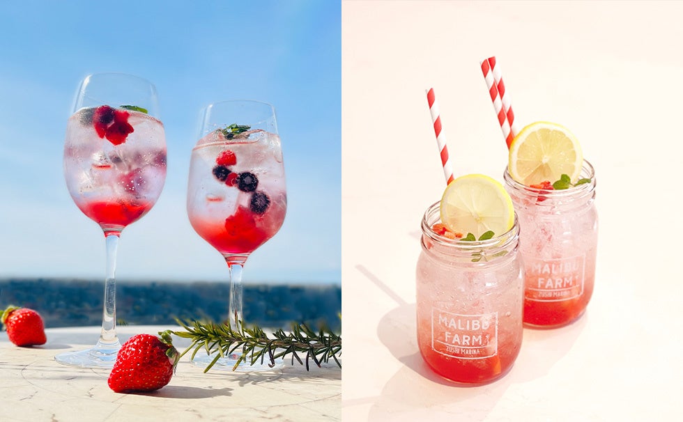 3月10日(月)より、「春のお花見弁当」２種を販売開始