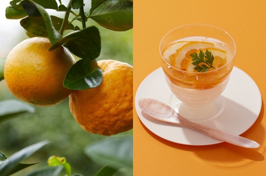 お亀堂の「あん巻き」に保育園向け特別焼印を導入!