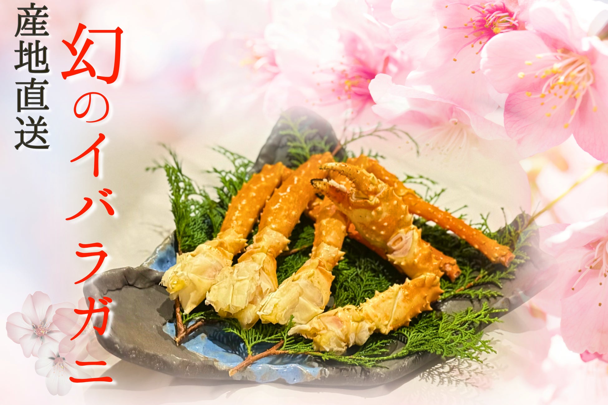 【Slimfy / スリムファイ】3月5日から「成城石井」でプロテインを焼きあげた“プロテインスリムファイチップス”取扱い開始。ワインタイムに健康もプラスする新提案。