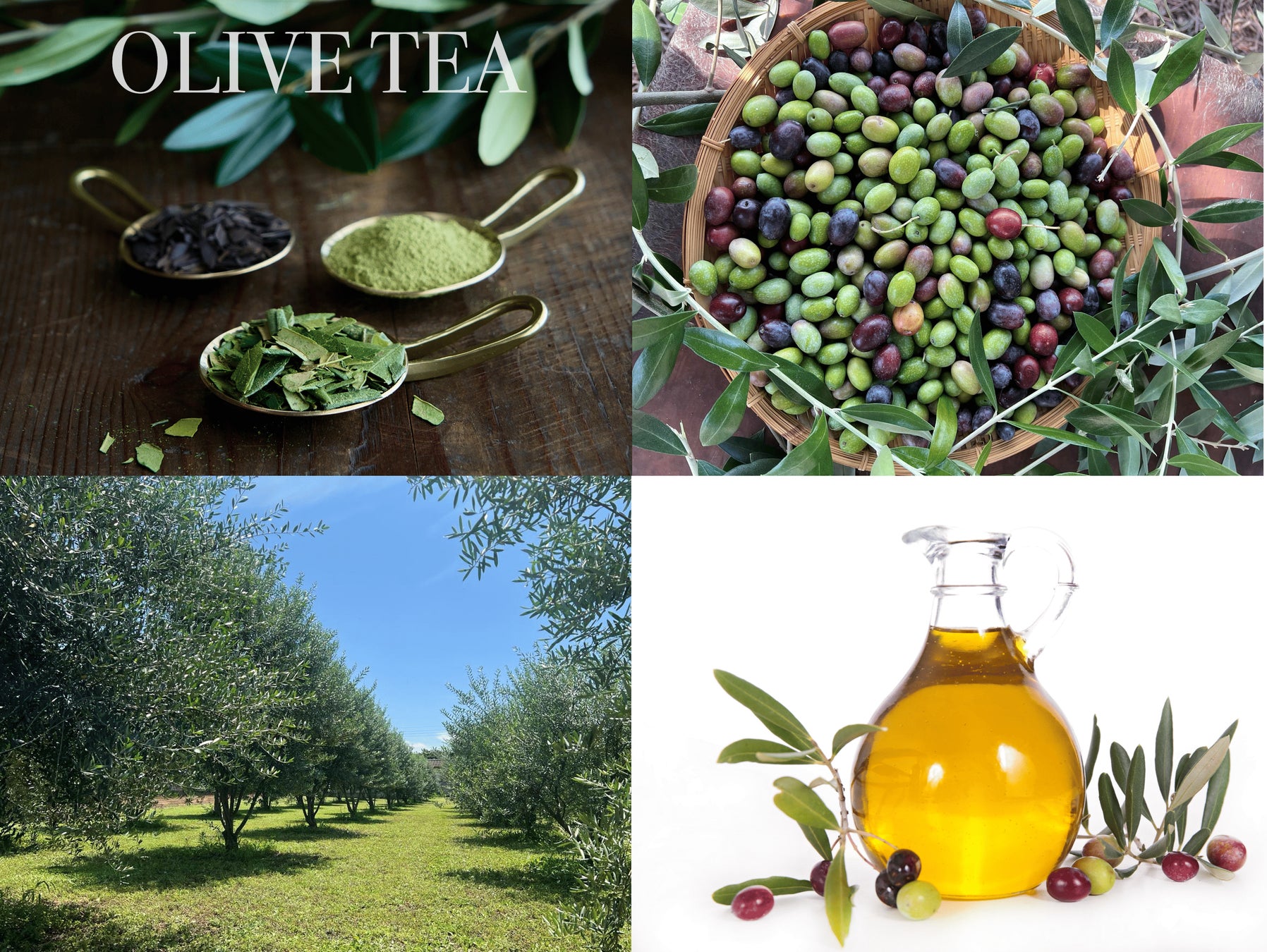 WBBC（ウイスキー文化研究所放送局）ライブ配信のお知らせ　　――国内外のウイスキー最新ニュースをお届け！