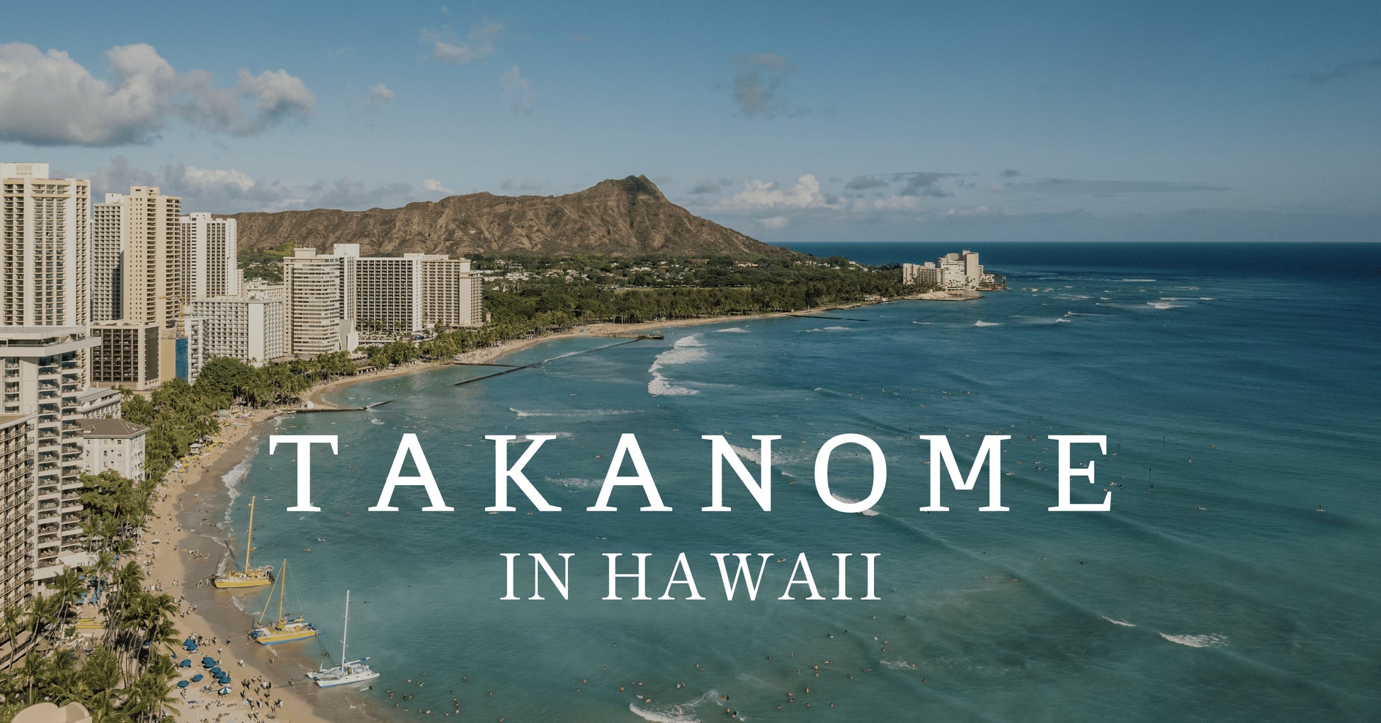 【㊗7周年の感謝を込めた特別な4日間】一番人気メニュー！vegeplateが390円OFF！！