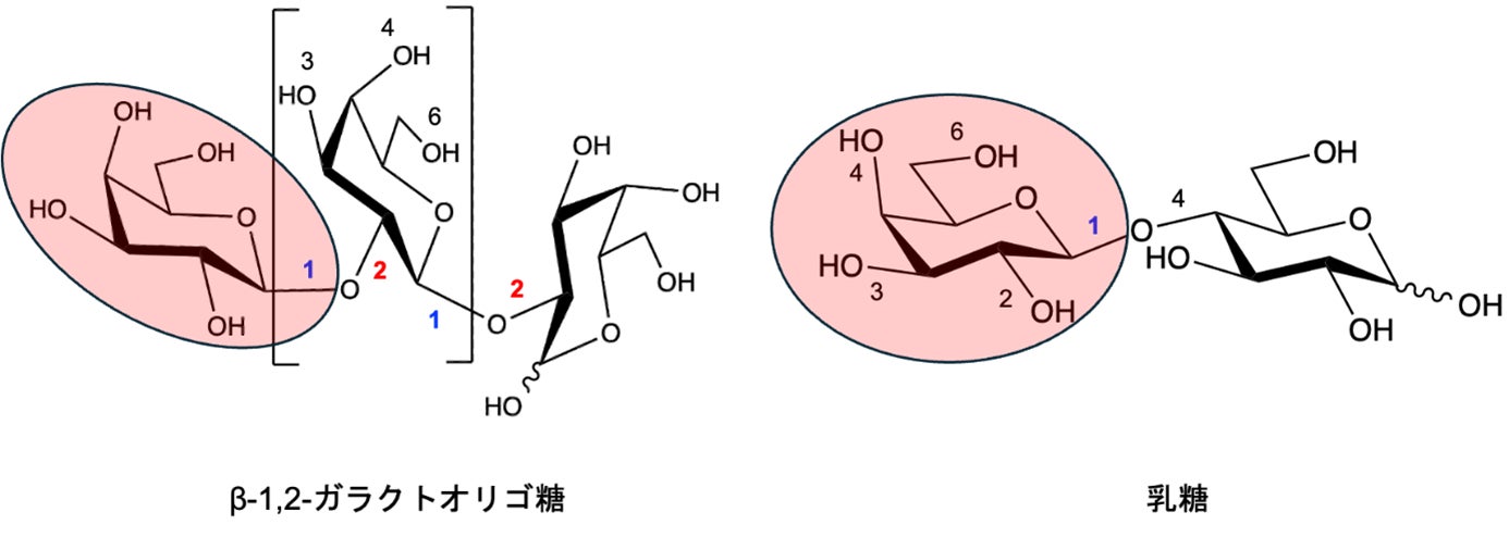 「トップバリュベストプライス しあわせのもっちり仕込み」さらにおいしくなって新登場