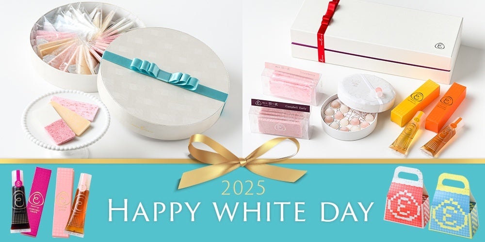 鹿児島の海の文化と歴史に育まれた伝統食品　「われはうみの子探検隊」未利用魚のさつま揚げ