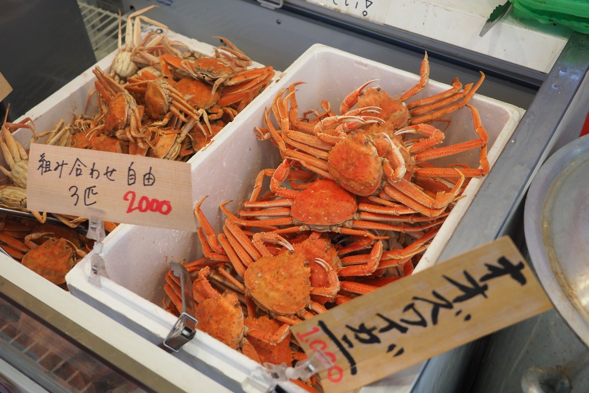 【ＢＳ日テレ】広尾駅から徒歩２０分 秘密の入り口から入る おでんの「ロビンソン酒場」へ