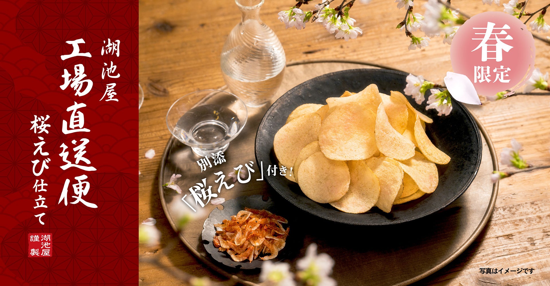 グリーンコープ生協みやざき、笑顔つながるこだわりマルシェin都城を3月15日(土)に開催