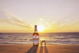 【コープデリ】「TSUTAYA DISCAS」の宅配DVDレンタルサービス3月10日（月）より組合員向けに提供開始