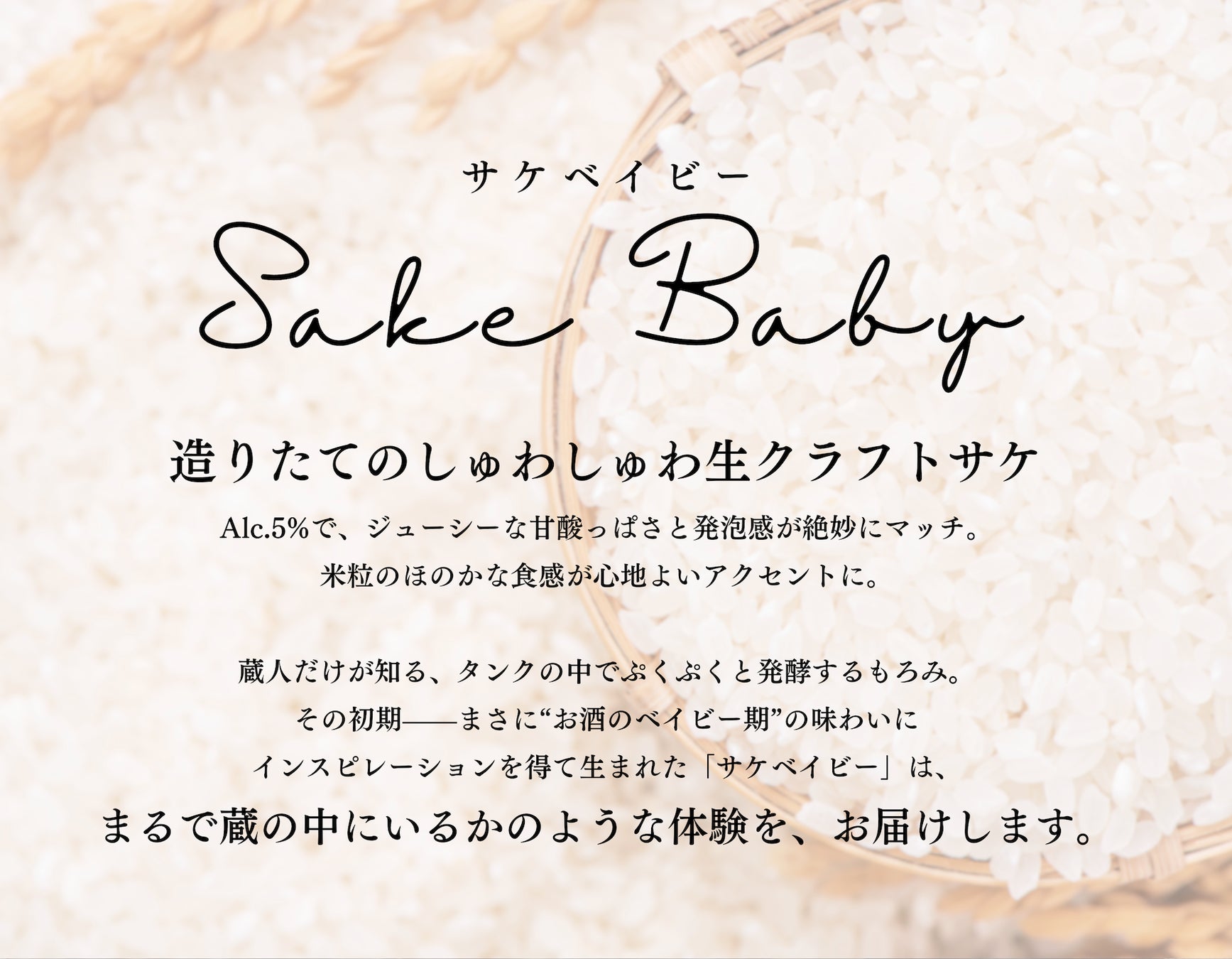 デイブレイク、「エフピコフェア2025」に出展！冷凍技術で拓く新たな食品流通の可能性。人手不足を解消し、より美味しい商品づくりへ