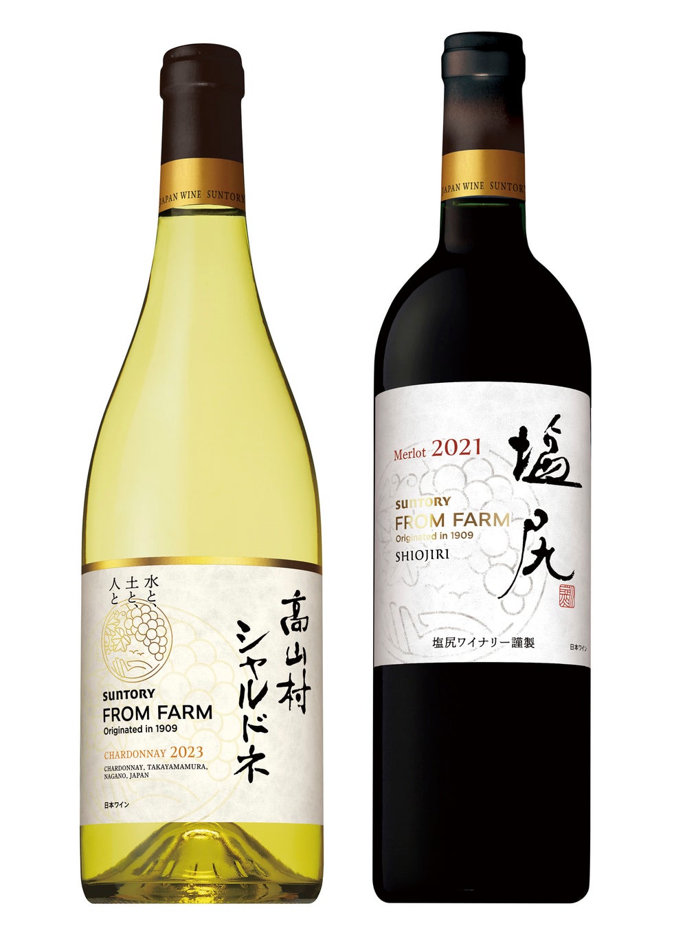 「こだわり酒場のレモンサワー〈しみレモン〉」期間限定新発売