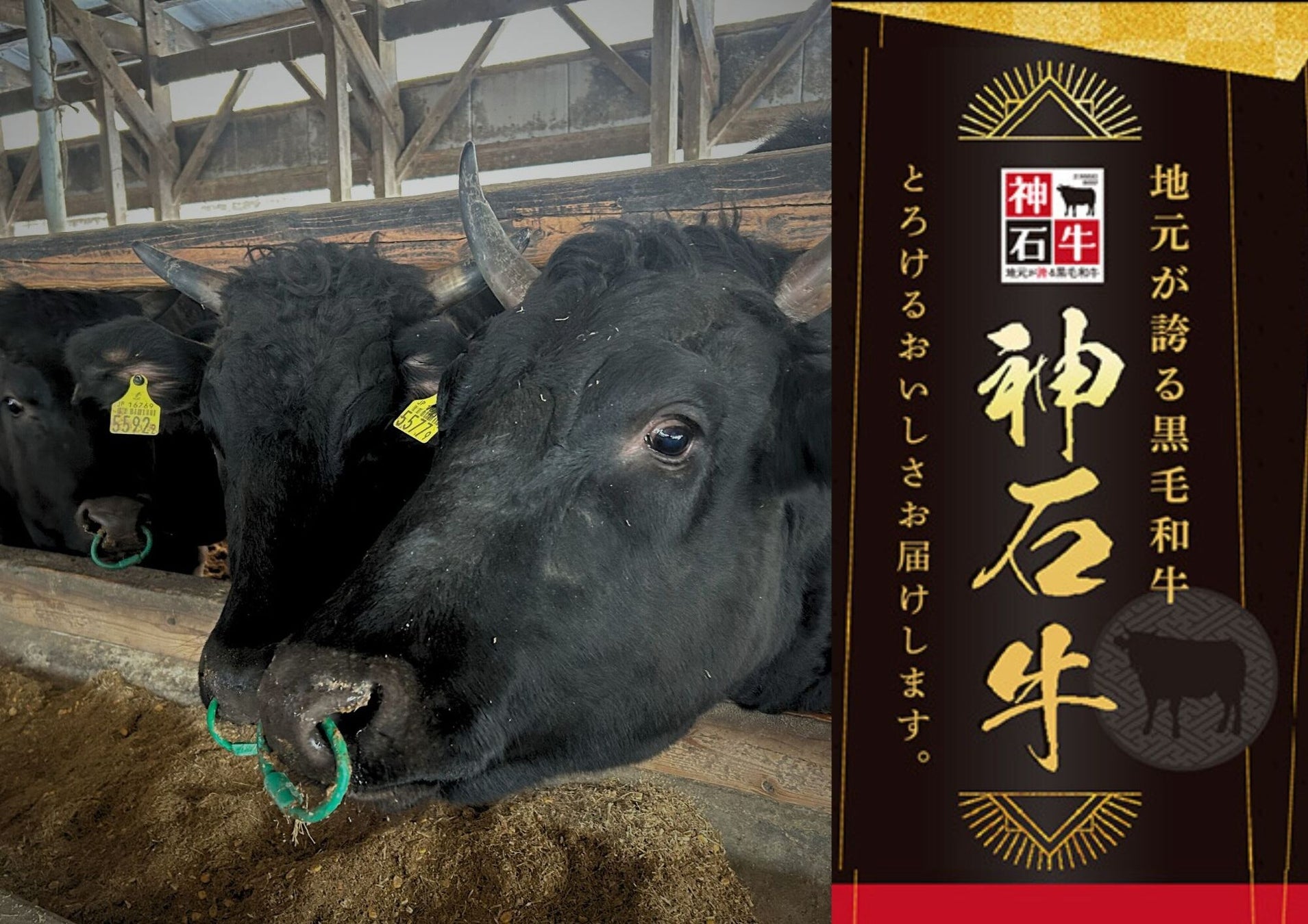 焼鳥屋「鳥貴族」、新潟県初出店となる新潟駅南店4月7日にオープン