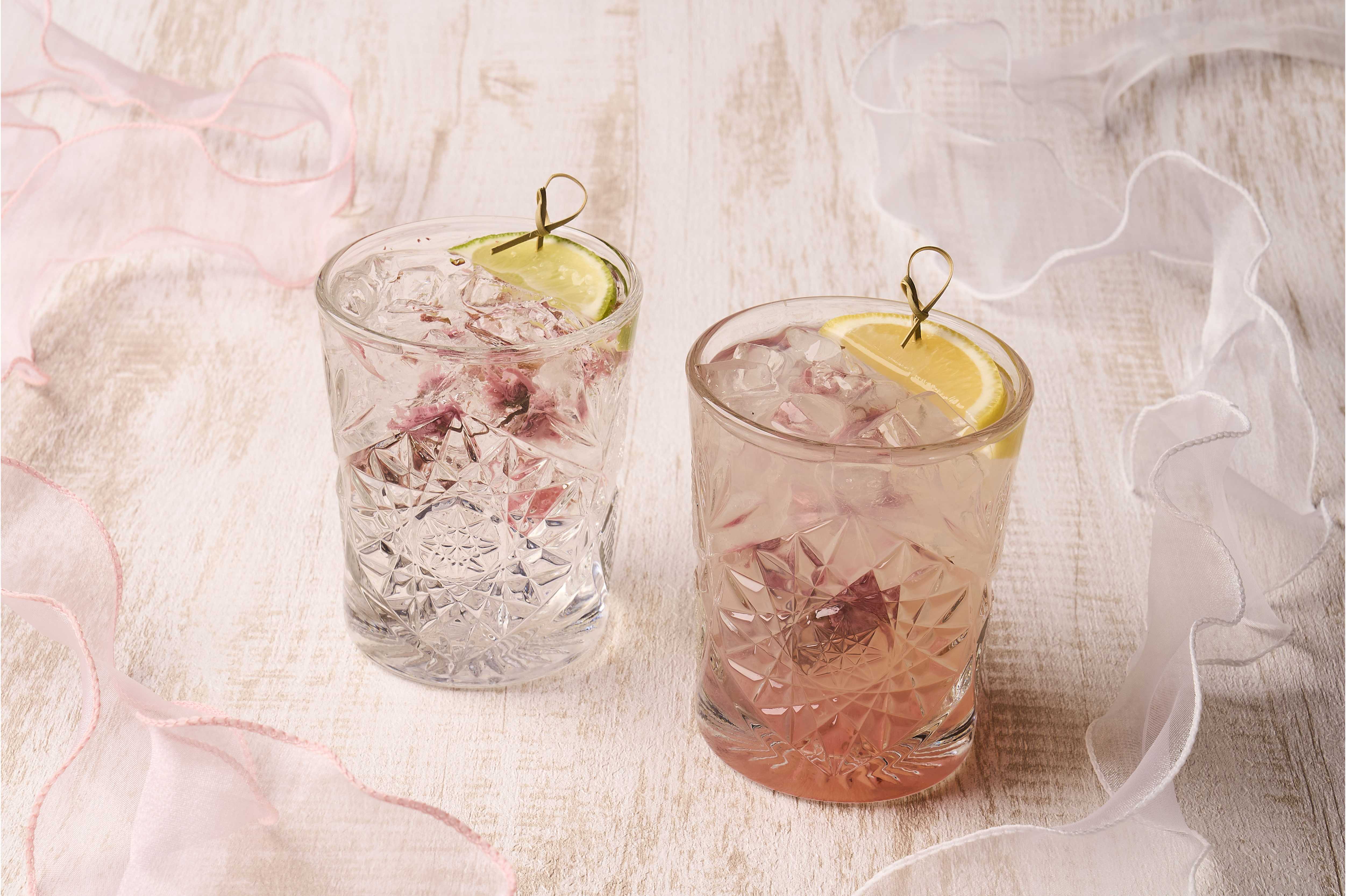 グランド・セントラル・オイスター・バー＆レストラン 品川店　期間限定スペシャルメニュー「ヒオウギガイと春野菜のソテー ハーブバターソース」