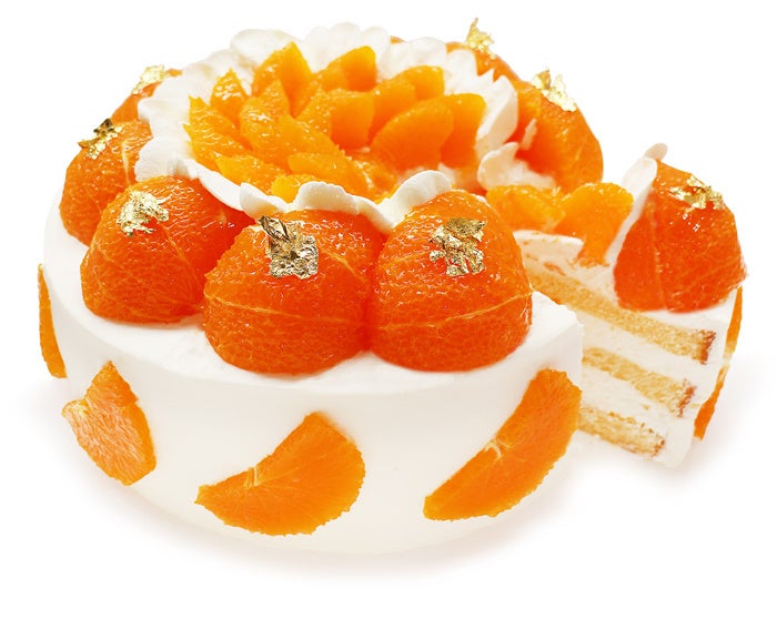 3月14日19時よりTV通販のショップチャンネルにてエスプレッソメーカーのレバープレッソV4を販売