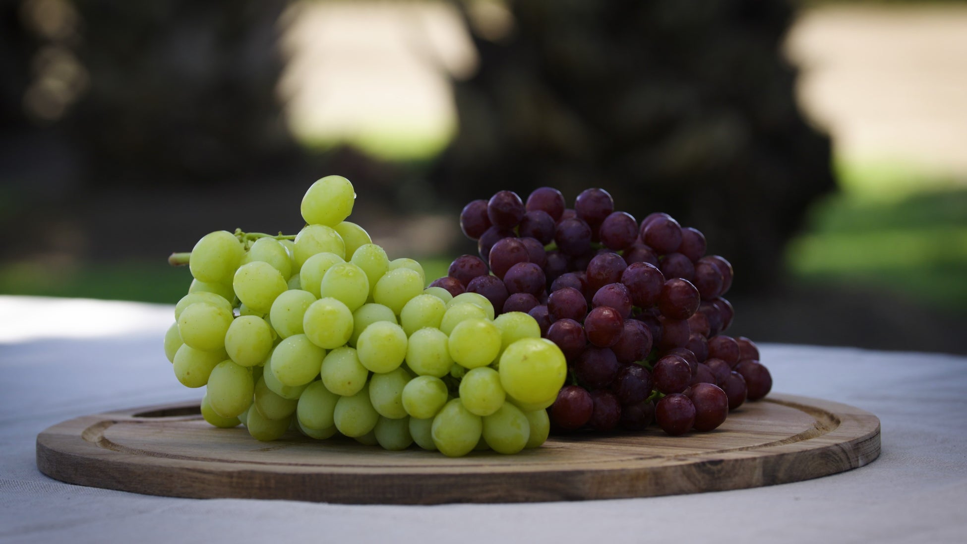 お～いお茶×大谷翔平選手の新たな社会貢献プロジェクト「ゴミ拾いしなくっ茶」を発足