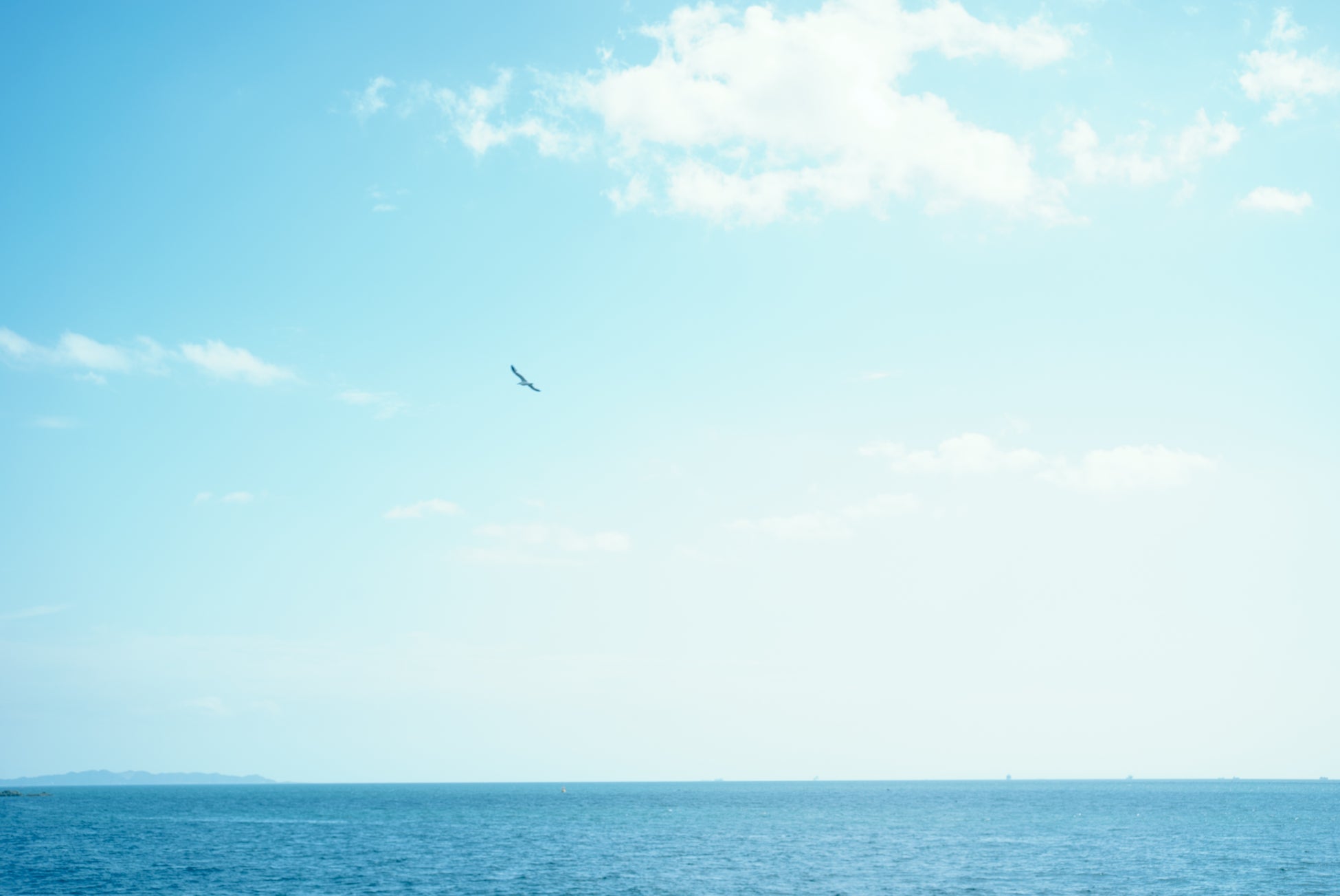 【超豪華希少酒飲み放題 ¥8,000】史上初!?十四代、而今、花陽浴、飛露喜、獺祭などが飲み放題『希少酒15種飲み放題』を3月20日(木)〜3月31日(月)の期間、上野御徒町店にて開催！