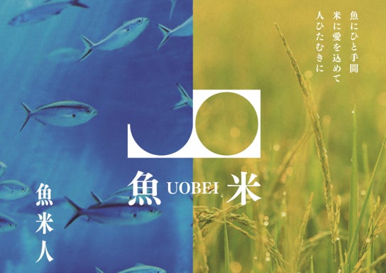 【はま寿司】「選べる！タッチパネル声優ナレーション！」に新声優が登場！第3弾は井上（いのうえ）喜久子（きくこ）さんが選択可能に！