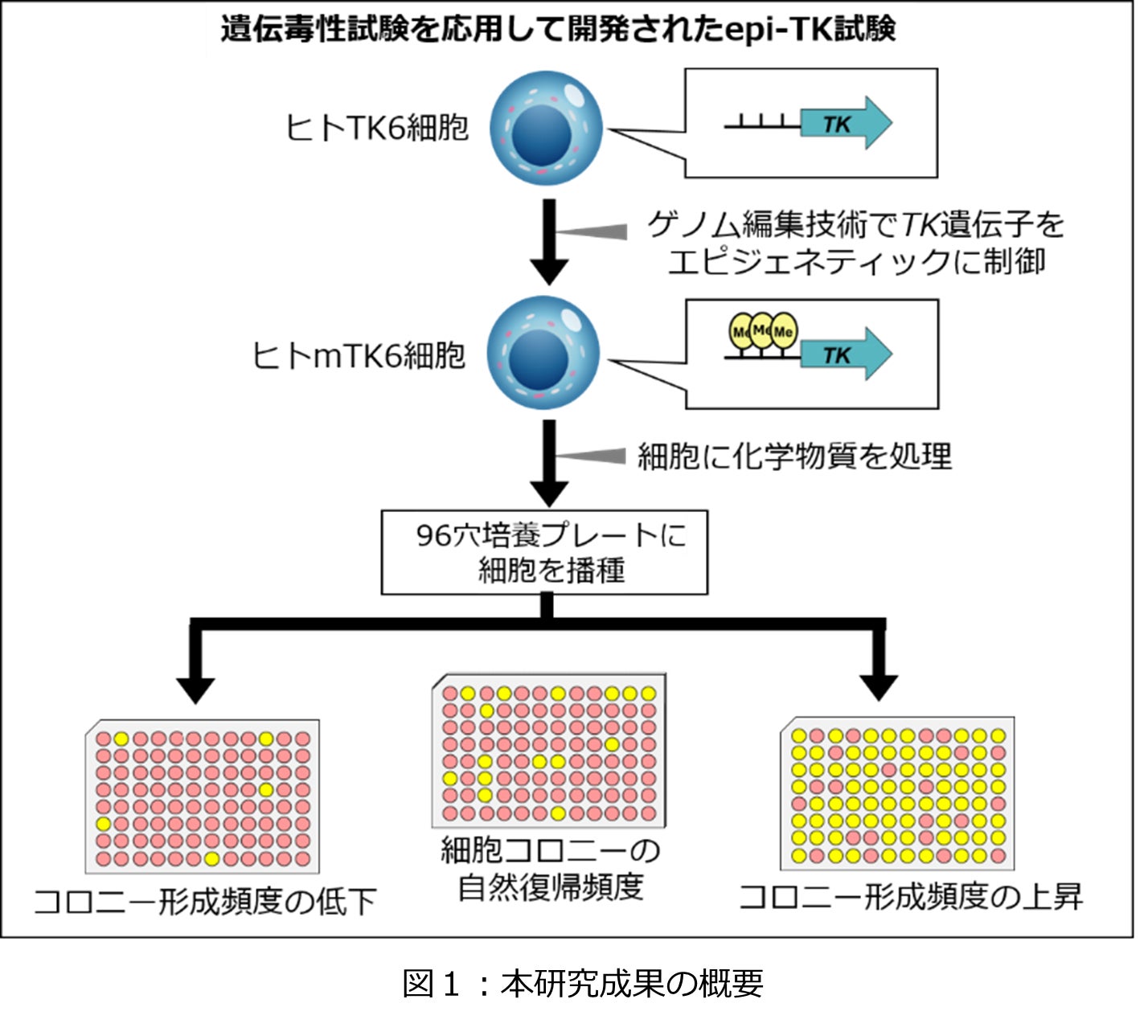 マイメロディ50周年を記念して、『マイメロディ』と『コアラのマーチ』がコラボ 「マイメロディ×コアラのマーチ」3月21日(金)正午より期間限定、数量限定で販売